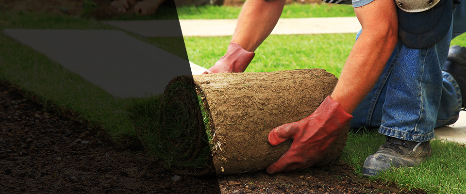Seaford Landscapers